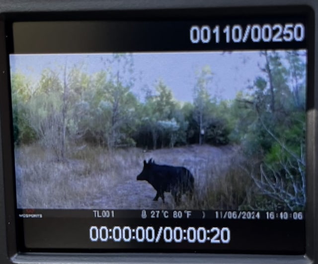 00000 Fm 2989, Midway, TX 75852