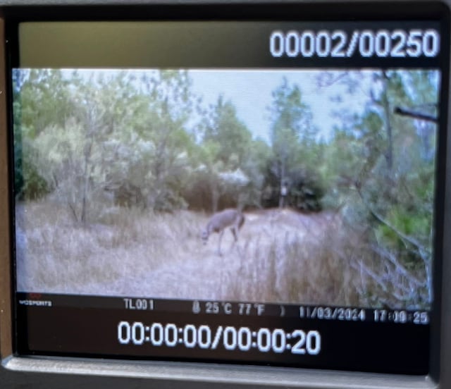 00000 Fm 2989, Midway, TX 75852