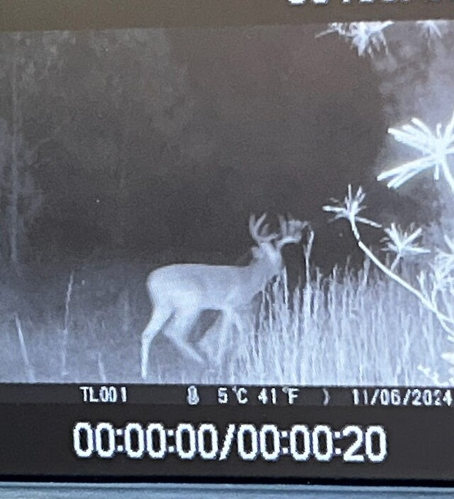 00000 Fm 2989, Midway, TX 75852