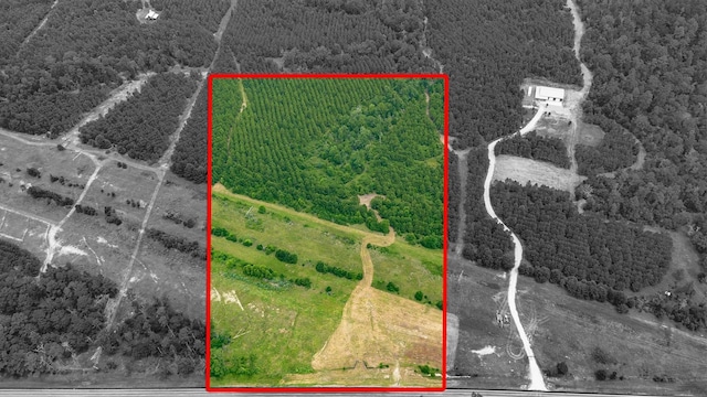 00000 Fm 2989, Midway, TX 75852