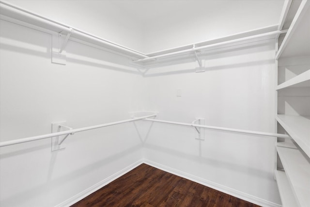 1919 W Welsford Dr, Spring, TX 77386 - spacious closet featuring dark wood-type flooring