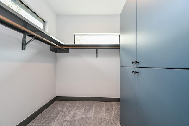 11007 Olde Mint House Ln, Tomball, TX 77375 - spacious closet with carpet flooring
