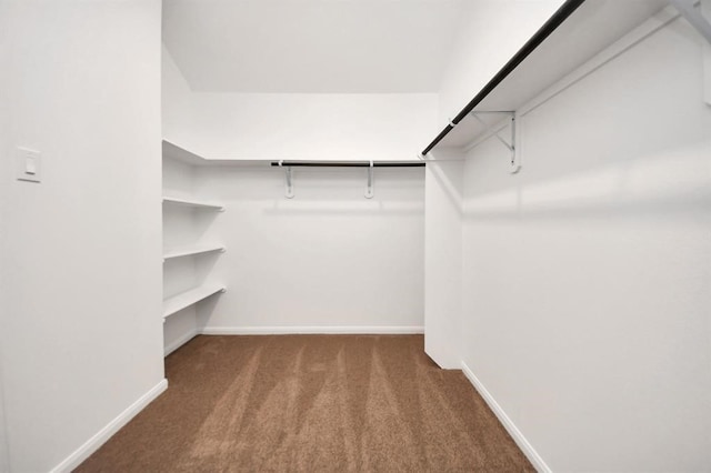 1307 Bonnerjee Dr, Crosby, TX 77532 - spacious closet featuring carpet floors