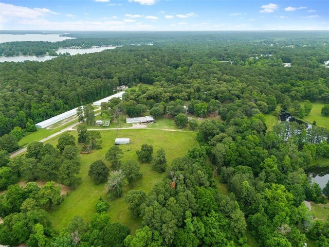 15460 Paradise Point Dr, Willis, TX 77318 - aerial view of a forest and a large body of water