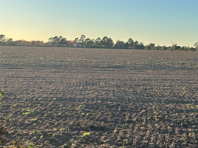 0 Imhof Rd, Waller, TX 77484 - photo 2