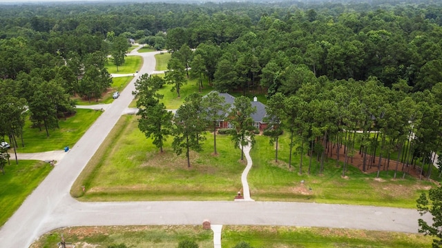 28713 Wood Song Trl, Magnolia, TX 77355 - photo 43