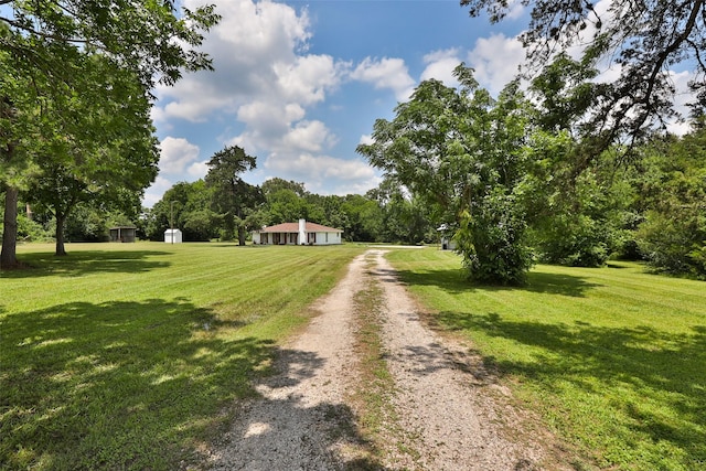1137 Jones Rd, New Waverly, TX 77358 - view of dirt / gravel driveway