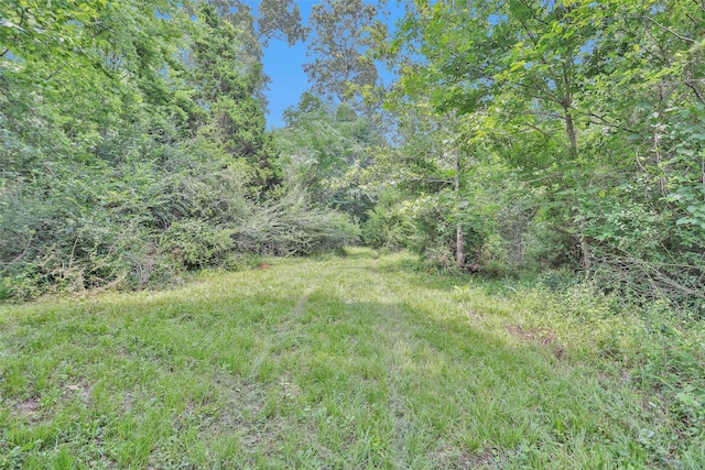 1137 Jones Rd, New Waverly, TX 77358 - view of yard