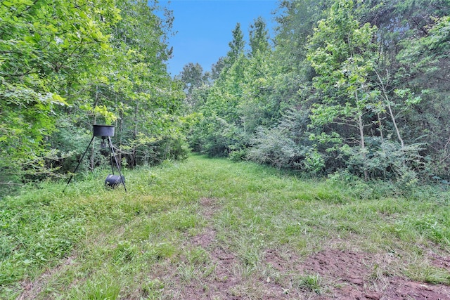 1137 Jones Rd, New Waverly, TX 77358 - view of yard