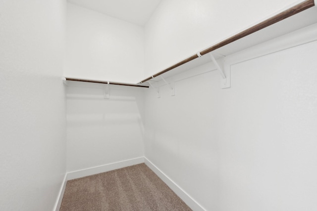 19265 Hazel Firs Ct, Magnolia, TX 77355 - spacious closet featuring light colored carpet