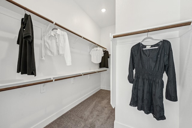 21517 Witham Promenade Ln, Magnolia, TX 77355 - spacious closet featuring carpet flooring