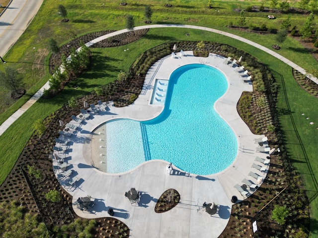 21517 Witham Promenade Ln, Magnolia, TX 77355 - view of swimming pool