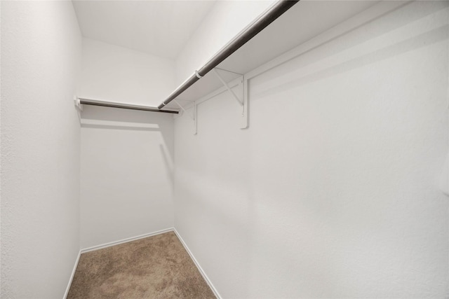 14611 Broadbury Pond Rd, Rosharon, TX 77583 - spacious closet featuring carpet