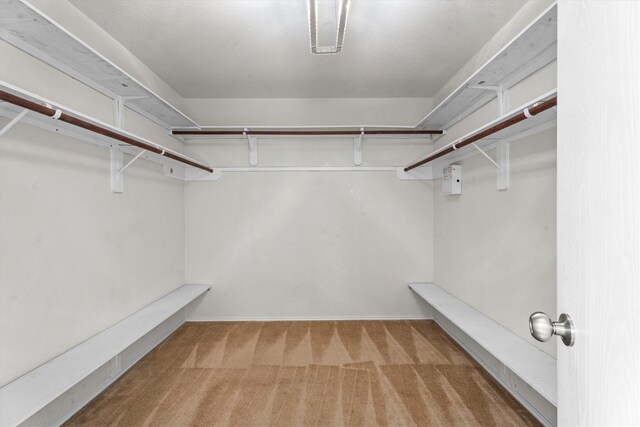 1910 Serenata Ln, Humble, TX 77396 - spacious closet featuring carpet flooring