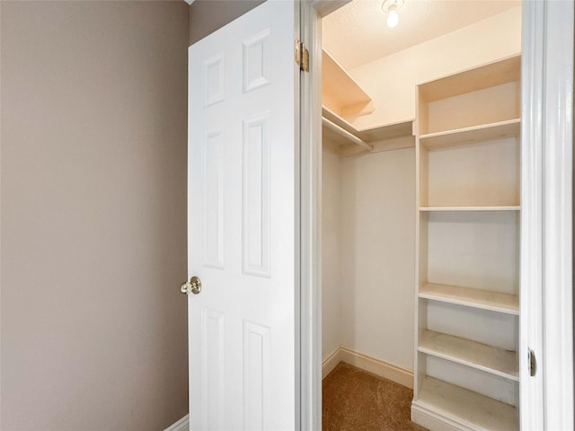 1507 N 24th St, Nederland, TX 77627 - walk in closet with carpet flooring