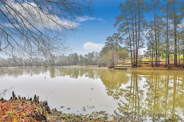 25734 Water Ridge Dr, Houston, TX 77336 - photo 4