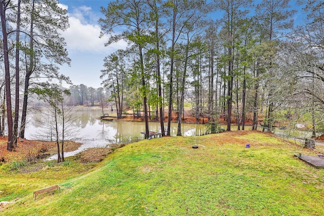 25734 Water Ridge Dr, Houston, TX 77336 - photo 8