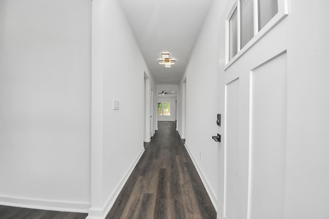 7430 Avenue E Ave E, Beasley, TX 77417 - corridor featuring dark wood-type flooring and baseboards