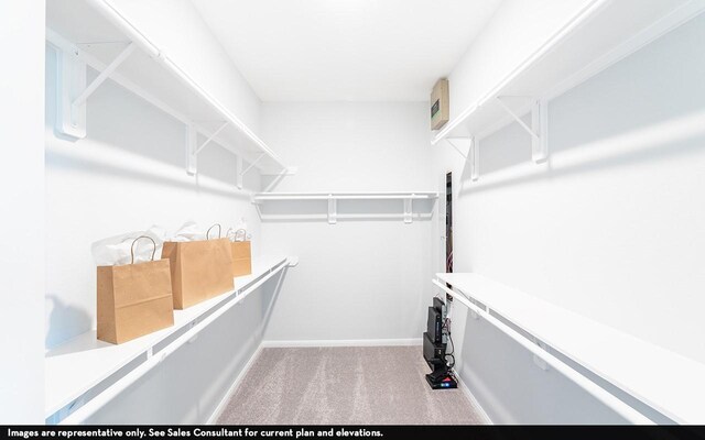 418 Riesling Dr, Alvin, TX 77511 - spacious closet featuring carpet