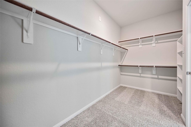 1497 Rd 66114, Dayton, TX 77535 - walk in closet with carpet