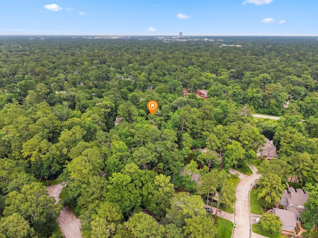 10 Leaf Trace Ct, The Woodlands, TX 77381 - bird's eye view of a forest