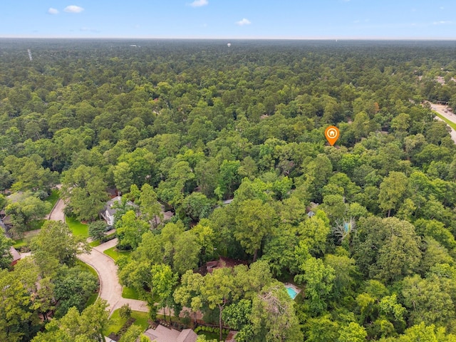 10 Leaf Trace Ct, The Woodlands, TX 77381 - bird's eye view of a forest
