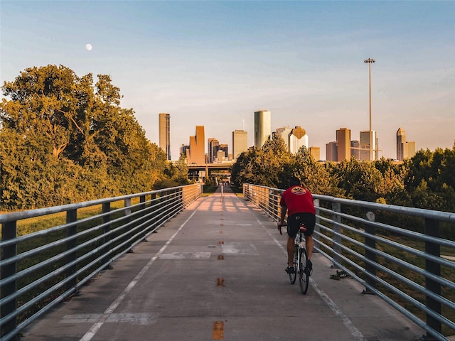 2010 Sabine St, Houston, TX 77007 - view of community with a view of skyline