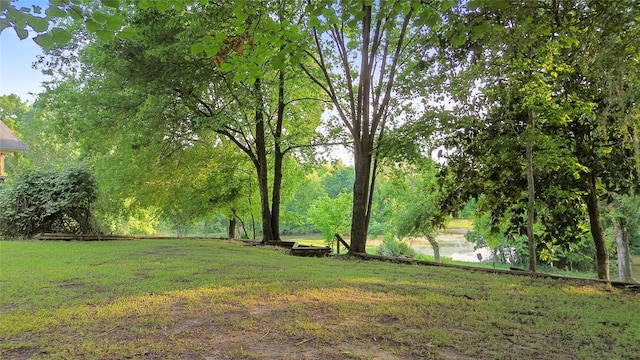 7 Lake Dr, Huntsville, TX 77320 - view of green lawn