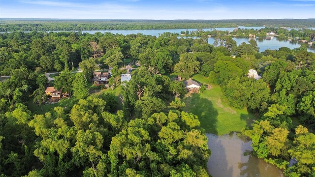 7 Lake Dr, Huntsville, TX 77320 - view of property location featuring a forest and a large body of water