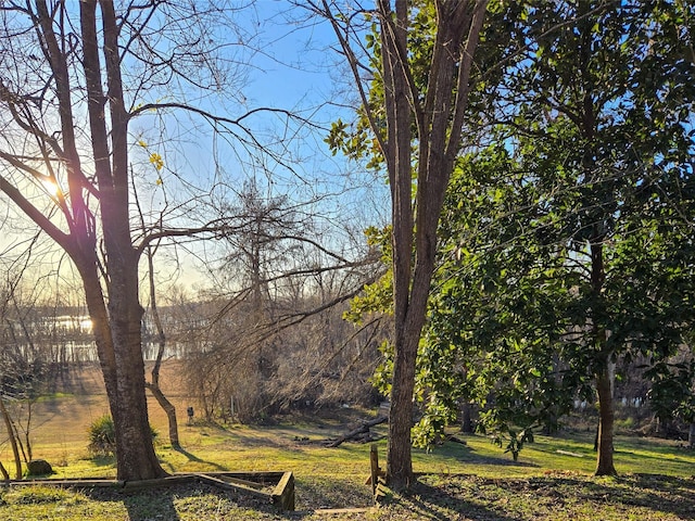 7 Lake Dr, Huntsville, TX 77320 - view of yard
