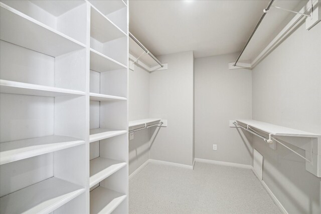 2901 Bammel Ln Unit 17, Houston, TX 77098 - spacious closet with carpet