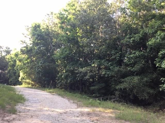 272 Artesian, Onalaska, TX 77360