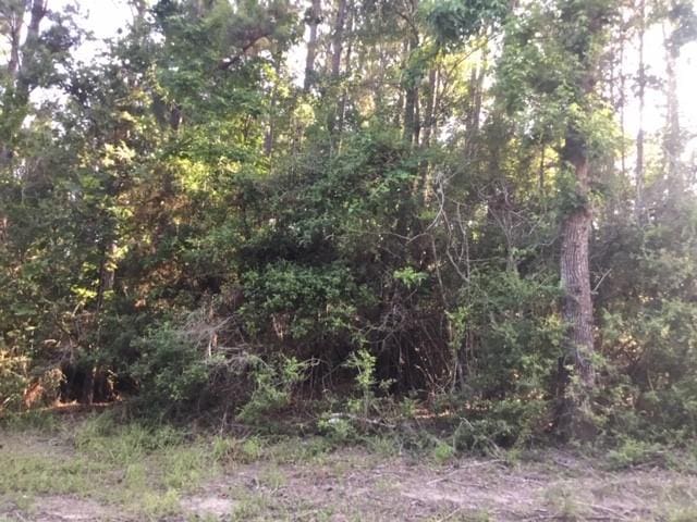 272 Artesian, Onalaska, TX 77360