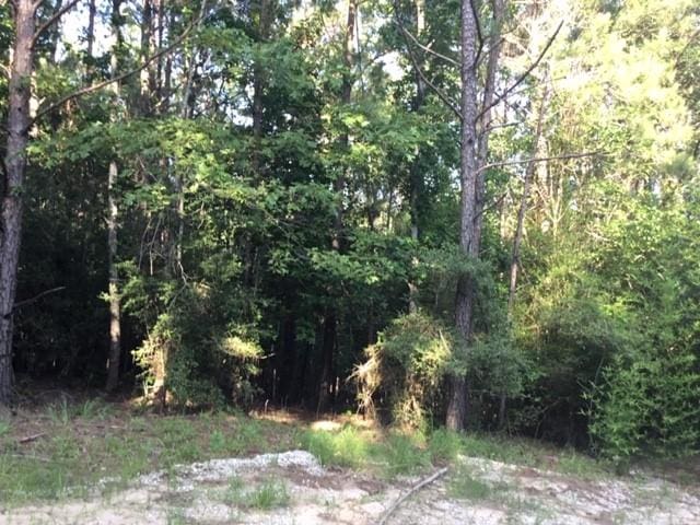 272 Artesian, Onalaska, TX 77360
