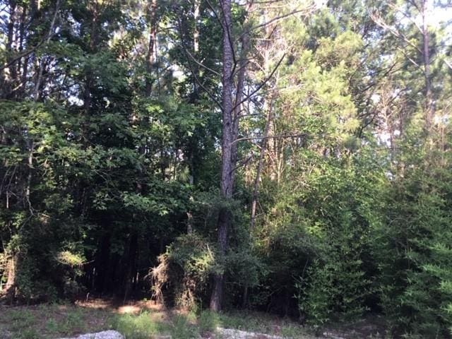 272 Artesian, Onalaska, TX 77360