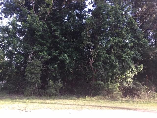 272 Artesian, Onalaska, TX 77360