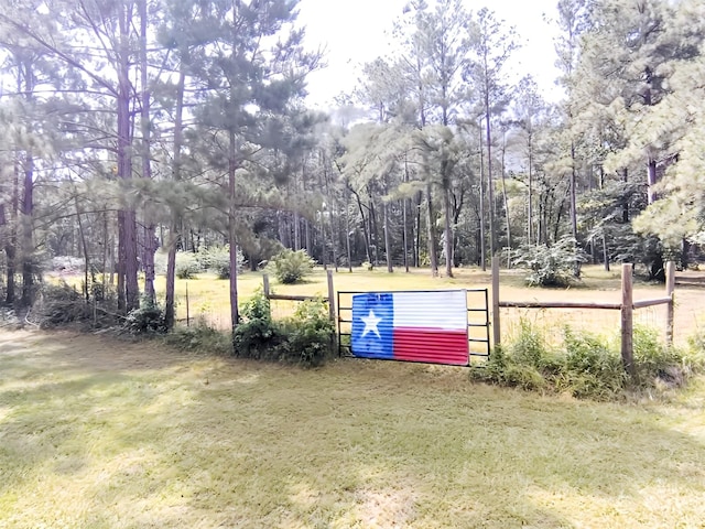 2301 Hines Lake Rd, Coldspring, TX 77331 - view of yard featuring a gate