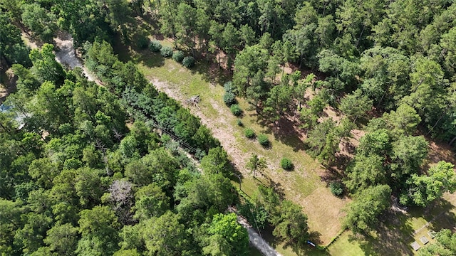 2301 Hines Lake Rd, Coldspring, TX 77331 - view of property location