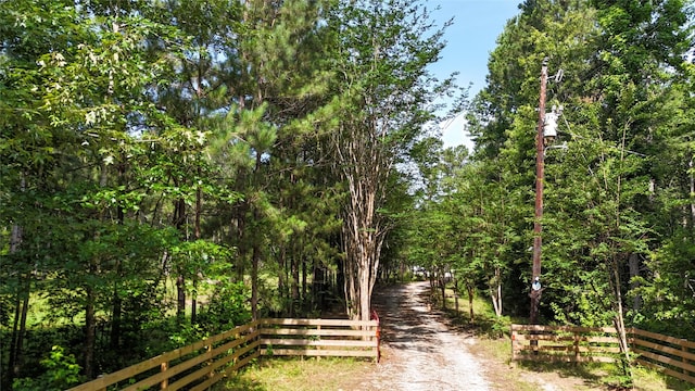 2301 Hines Lake Rd, Coldspring, TX 77331 - view of road