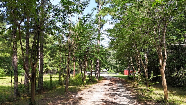 2301 Hines Lake Rd, Coldspring, TX 77331 - view of dirt / gravel driveway