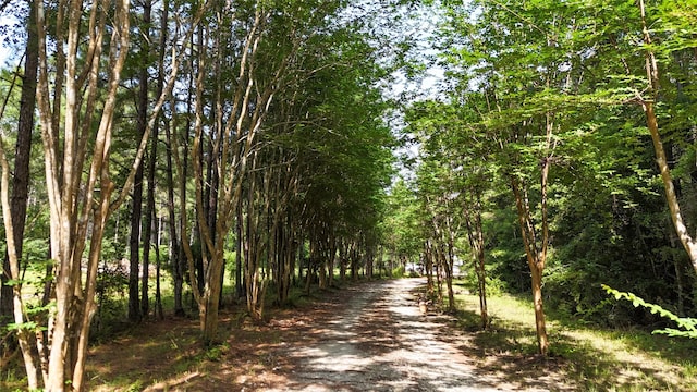 2301 Hines Lake Rd, Coldspring, TX 77331 - view of street featuring a forest view