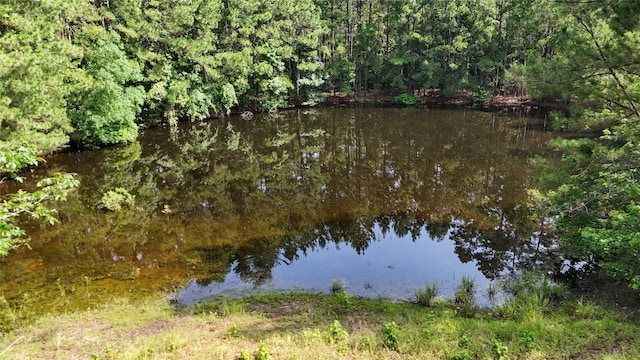 2301 Hines Lake Rd, Coldspring, TX 77331 - water view featuring a forest