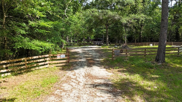 2301 Hines Lake Rd, Coldspring, TX 77331 - view of dirt / gravel road featuring a view of trees