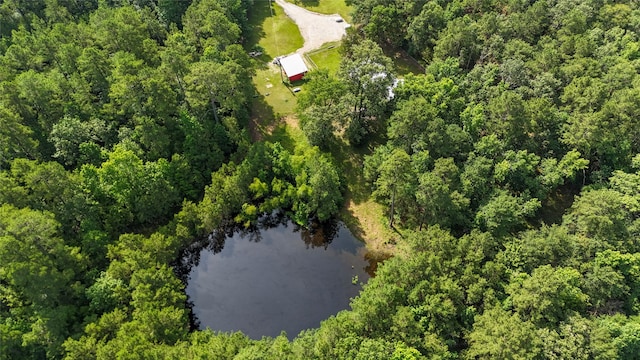 2301 Hines Lake Rd, Coldspring, TX 77331 - aerial overview of property's location with a nearby body of water and a heavily wooded area