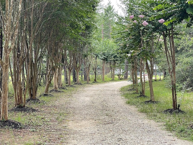 2301 Hines Lake Rd, Coldspring, TX 77331 - view of street