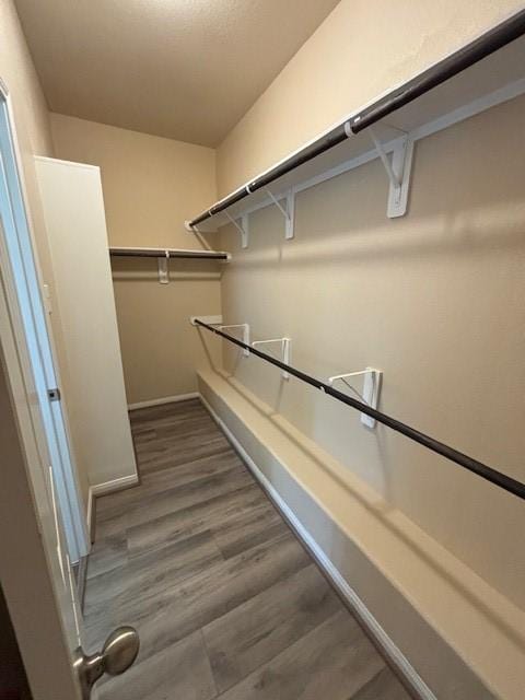 995 Arbor Gln, Conroe, TX 77303 - walk in closet with wood finished floors