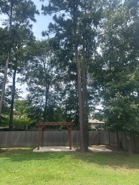 995 Arbor Gln, Conroe, TX 77303 - view of yard