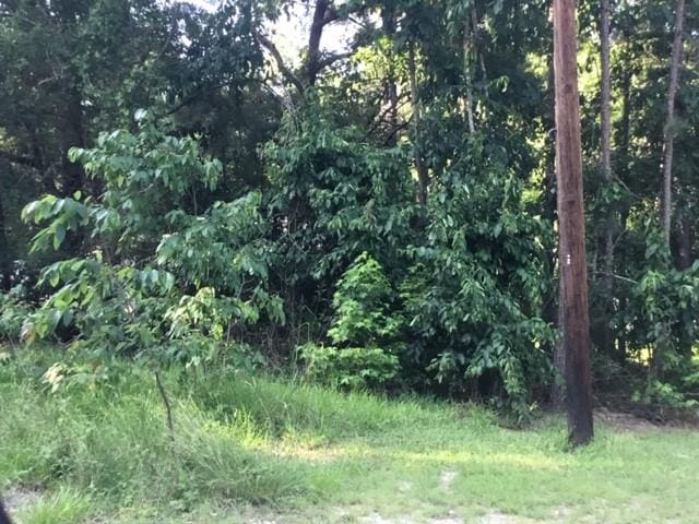 000 Water Tower Rd, Onalaska, TX 77360