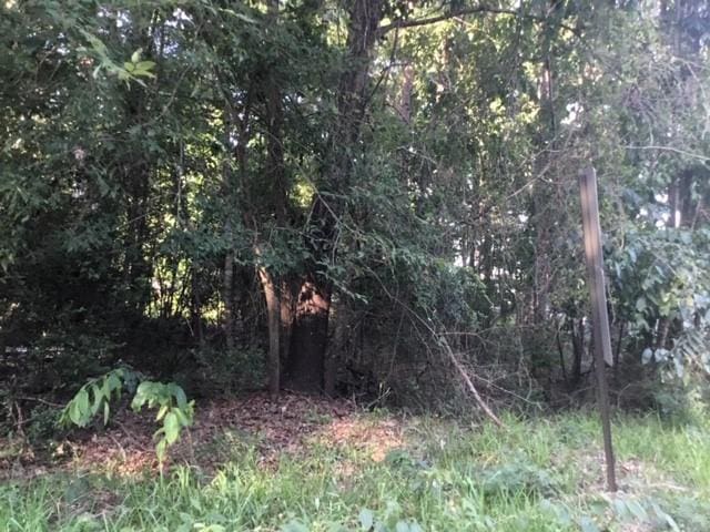000 Water Tower Rd, Onalaska, TX 77360