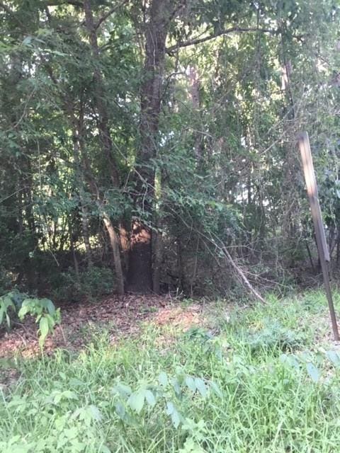 000 Water Tower Rd, Onalaska, TX 77360